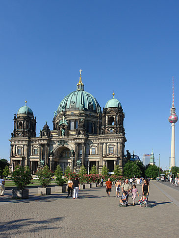 Berliner Dom mit Fernsehturm Foto 