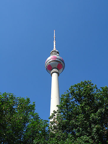 Fotos Fernsehturm und Bäume | Berlin