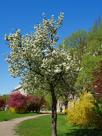 Frühling