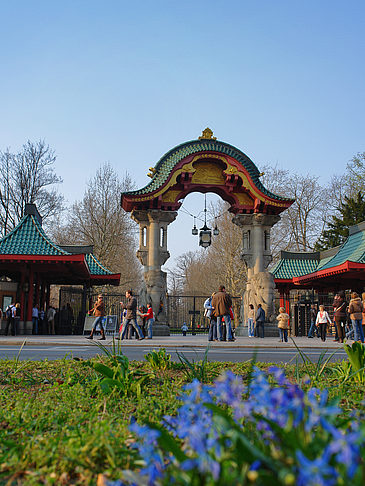 Eingang mit Wiese Foto 