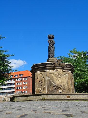 Fischmarktbrunnen Minerva Foto 