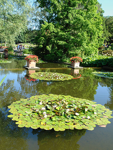 Fotos Planten un Blomen - Wasserkaskaden | Hamburg
