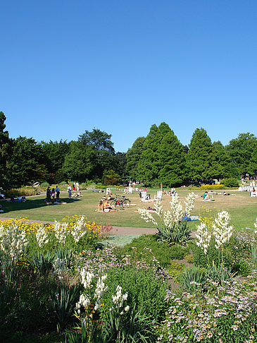 Fotos Planten un Blomen - Wiese am Parksee