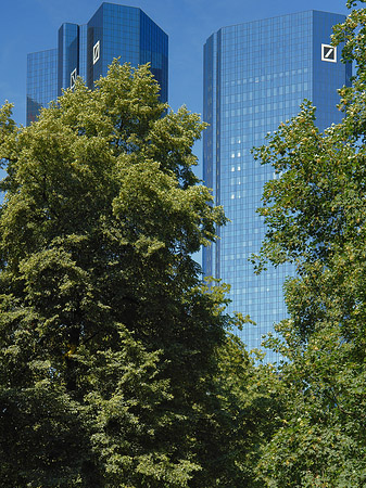 Fotos Deutsche Bank mit Bäumen | Frankfurt am Main