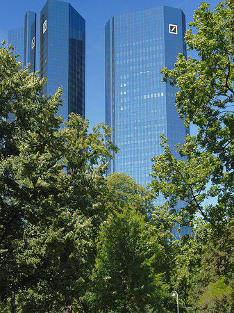 Deutsche Bank mit Wiese