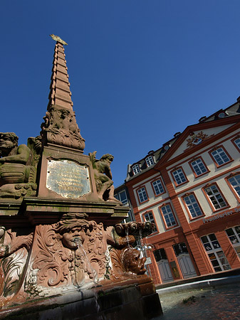 Haus zum Grimmvogel mit Liebfrauenbrunnen Foto 