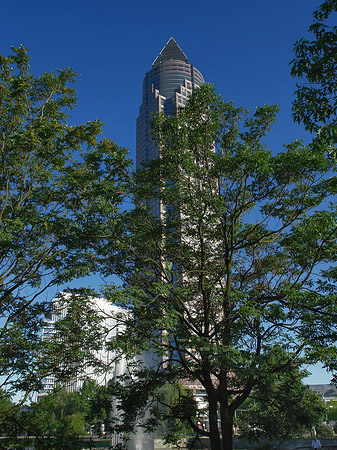 Fotos Messeturm versteckt hinter Bäumen | Frankfurt am Main