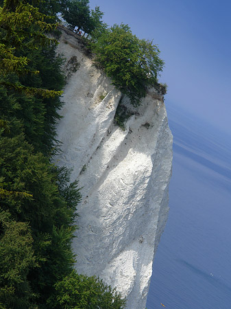 Foto Königsstuhl Kreidefelsen