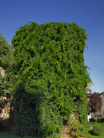 Helenenturm Foto 