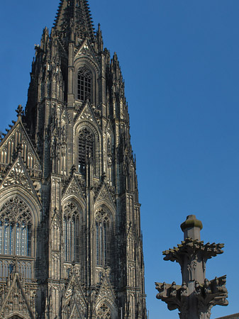 Foto Kreuzblume vor Kölner Dom