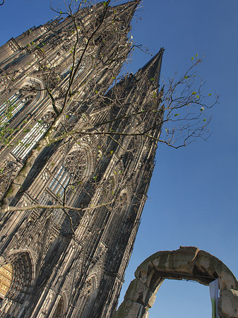 Nordtor des Kölner Doms Fotos