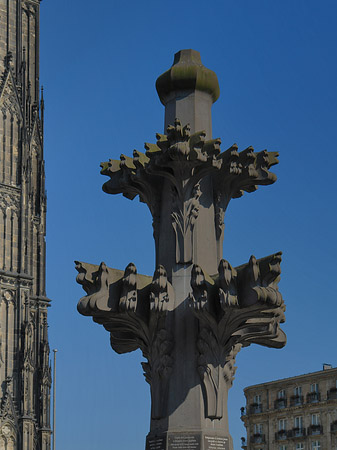 Foto Menschen bei der Kreuzblume - Köln