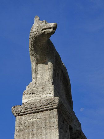 Fotos Wolfsstatue am Stadtmuseum