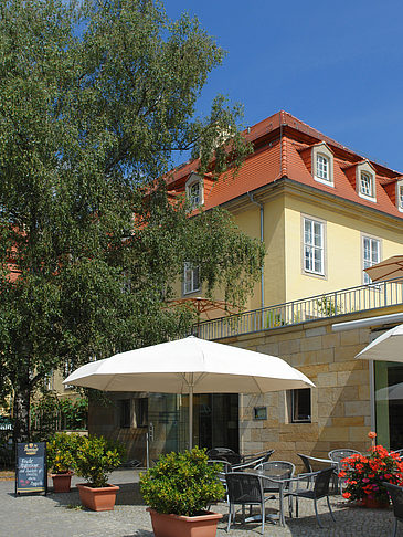 Bärenzwinger
