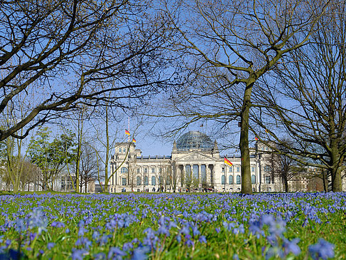 Blumenwiese am Reichstag Fotos