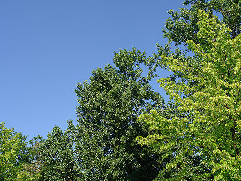 Tiergarten Fotos