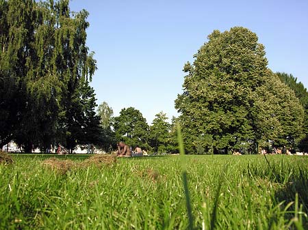Fotos Treptower Park | Berlin