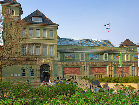 Fotos Eingang zum Zoo