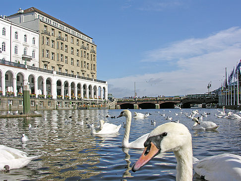 Alster Arkaden Fotos