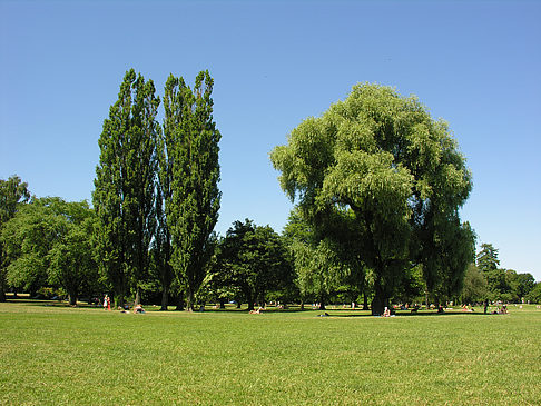 Altervorland