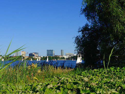 Blick nach Osten von der Außenalster Foto 