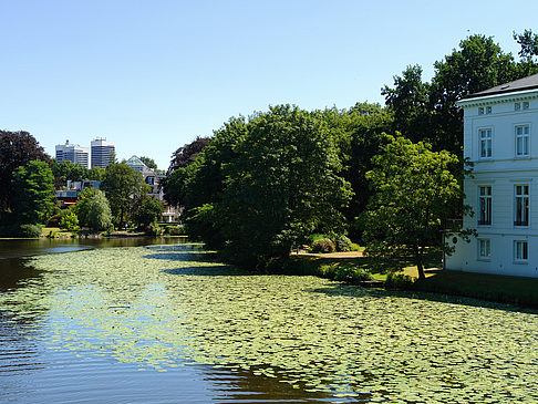 Fotos Langer Zug - Außenalster