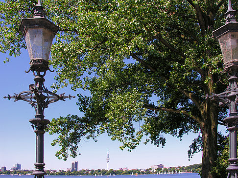 Bäume und Laterne an der Binnenalster Fotos