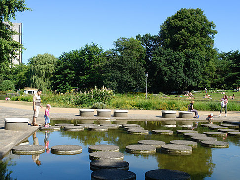 Foto Planten un Blomen - Wasserkaskaden