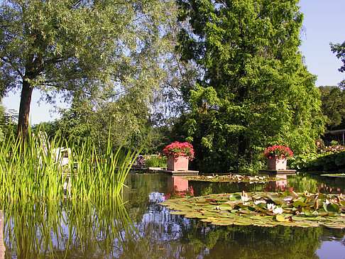 Fotos Planten un Blomen - Wasserkaskaden