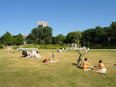 Planten un Blomen - Wiese am Parksee