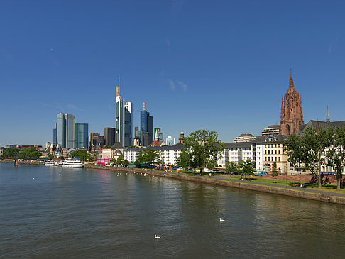 Blick über den Main Foto 