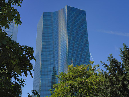 Skyper Foto 