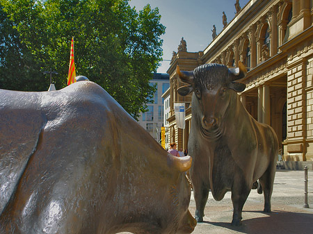 Bulle und Bär