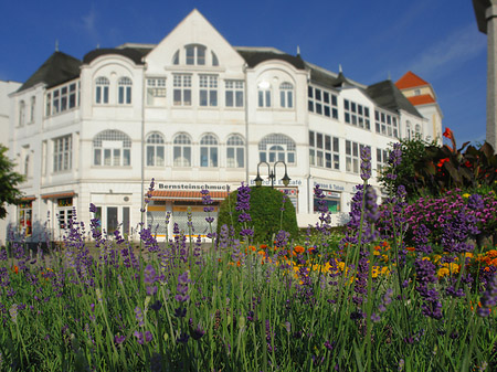 Foto Seebrücke Binz - Ostseebad Binz
