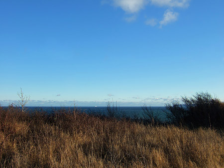 Wiese mit Meer Foto 