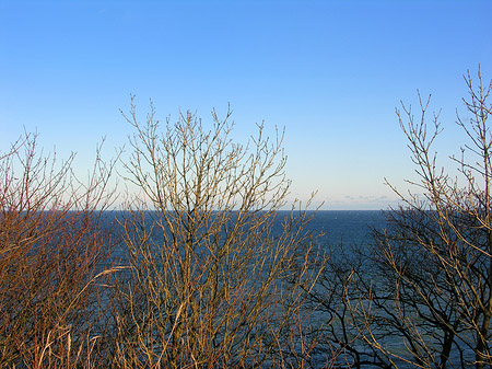 Wiese mit Meer Foto 