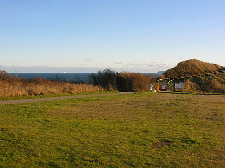 Wiese mit Meer Foto 