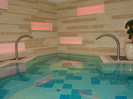 Wellness