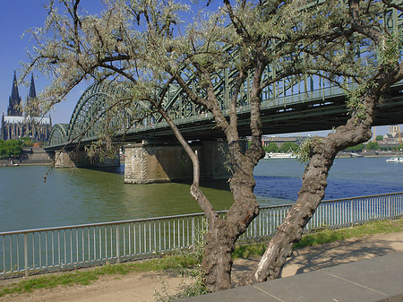 Foto Hohenzollernbrücke am Kölner Dom