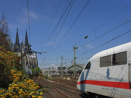 Kölner Dom mit ICE Fotos