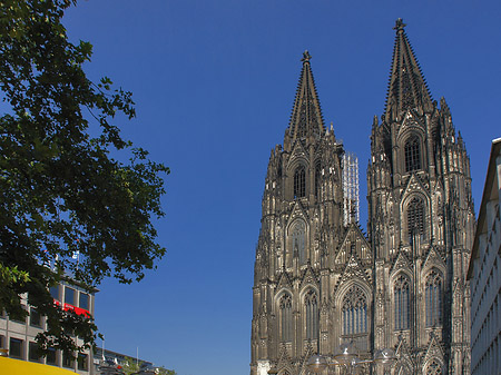 gelbe Sonnenschirme vor Kölner Dom