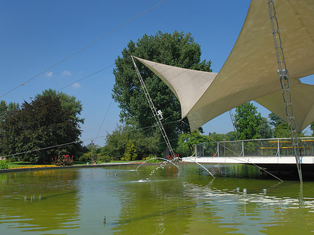 Tanzbrunnen im Rheinpark Fotos