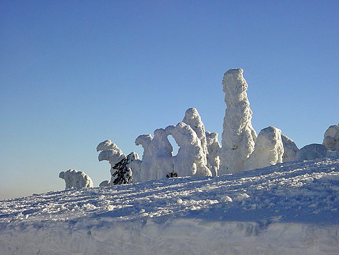 Fotos Brockenwanderung