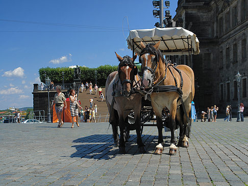 Fotos Pferdekutsche
