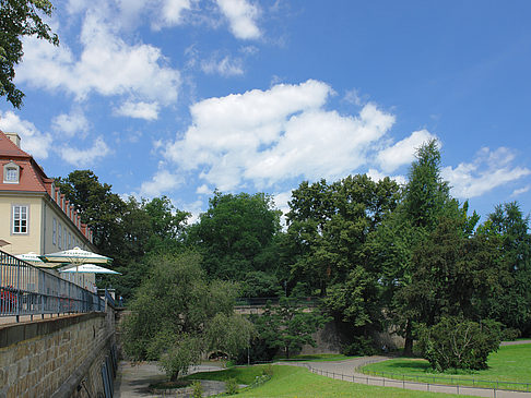 Bärenzwinger Fotos