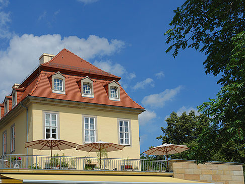 Bärenzwinger Foto 