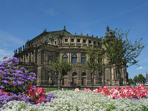 Foto Semperoper mit Blumen - Dresden