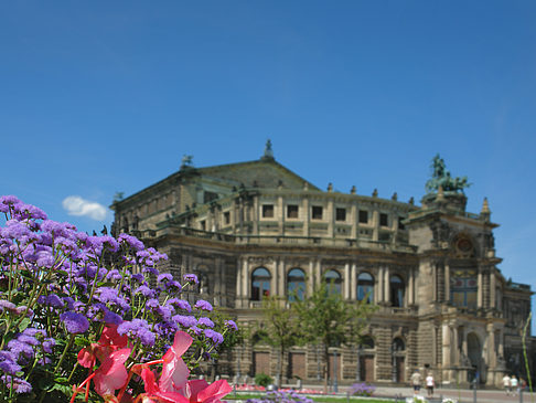 Semperoper mit Blumen Fotos